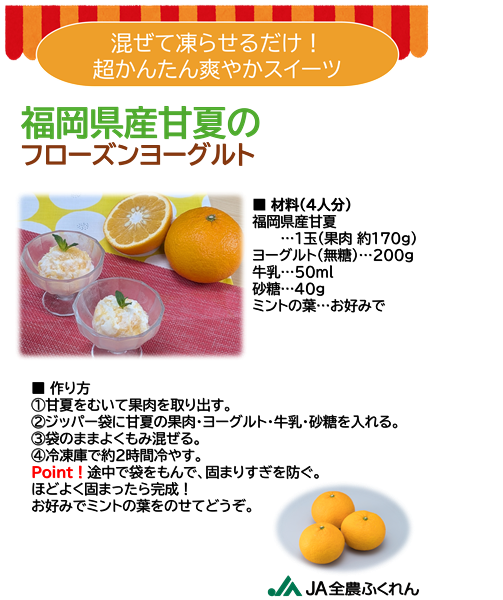 【お試し】◎JA糸島 甘夏 約3s ※4月下旬〜順次出荷予定