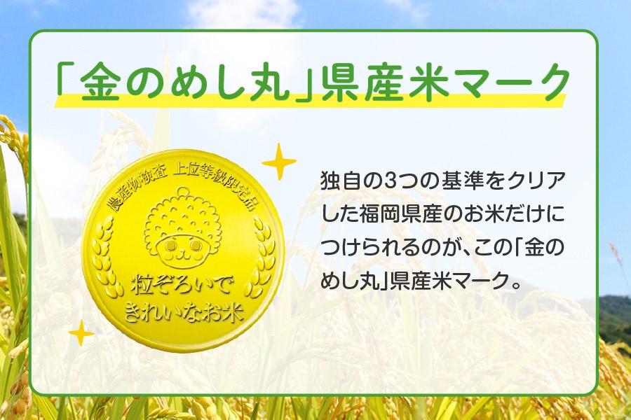 金のめし丸」県産米 めし丸ひのひかり 5kg （令和7年産 福岡県産米
