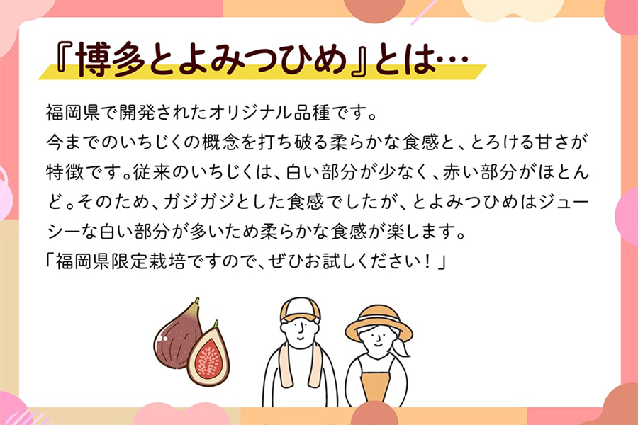 ☆【食べて応援！特別価格！8/13~8/17発送予定】いちじく『博多とよ