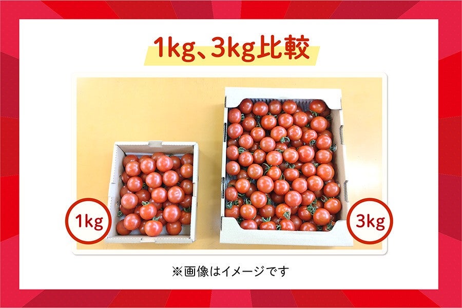 ◎JAふくおか八女 ミディトマト『はなひめ』約1s ※12月中旬頃〜出荷予定