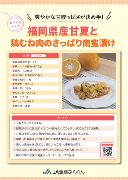 【お試し特別価格】◎JA糸島 甘夏 約10s ※4月下旬〜順次出荷予定