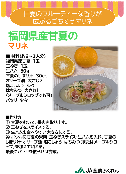 【お試し】◎JA糸島 甘夏 約3s ※4月下旬〜順次出荷予定