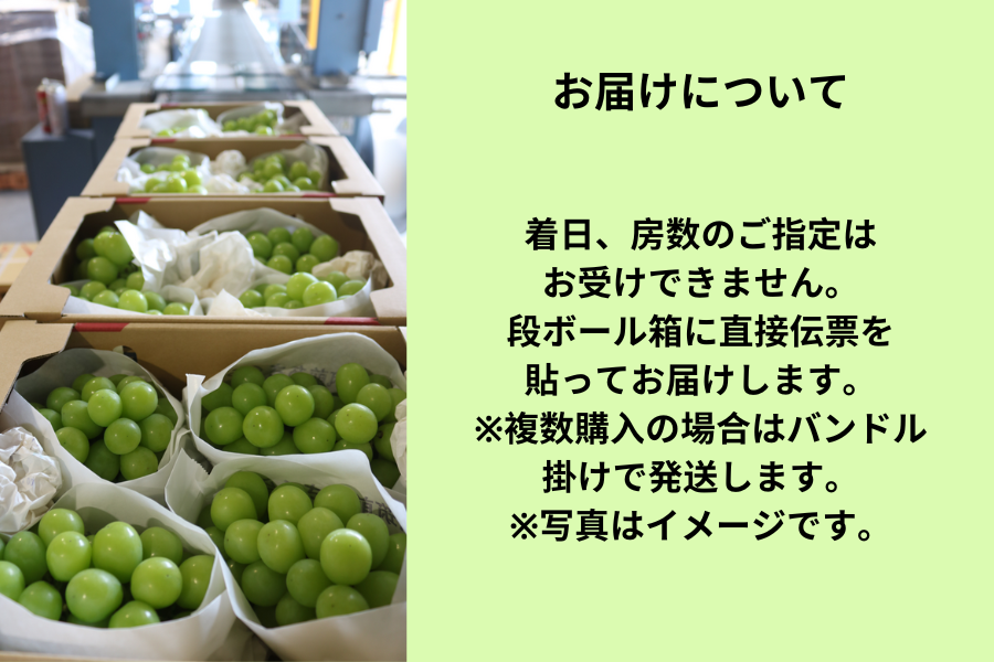 ◎JA筑前あさくら シャインマスカット約2s(段ボール箱)※7月中下旬〜8月上旬頃順次出荷予定 ※4月3日販売開始予定
