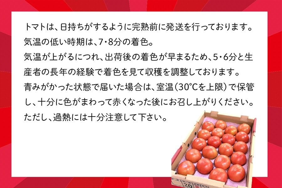 ◎JA筑前あさくら トマト『感激73』（A品）※12月中旬～順次出荷