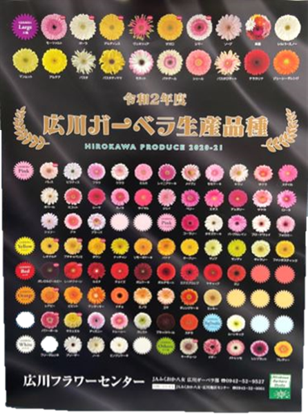 産地直送 通販 お取り寄せ ガーベラギフトｂｏｘ ミニ15本 大輪10本おまかせ 博多うまかショップ ｊａタウン