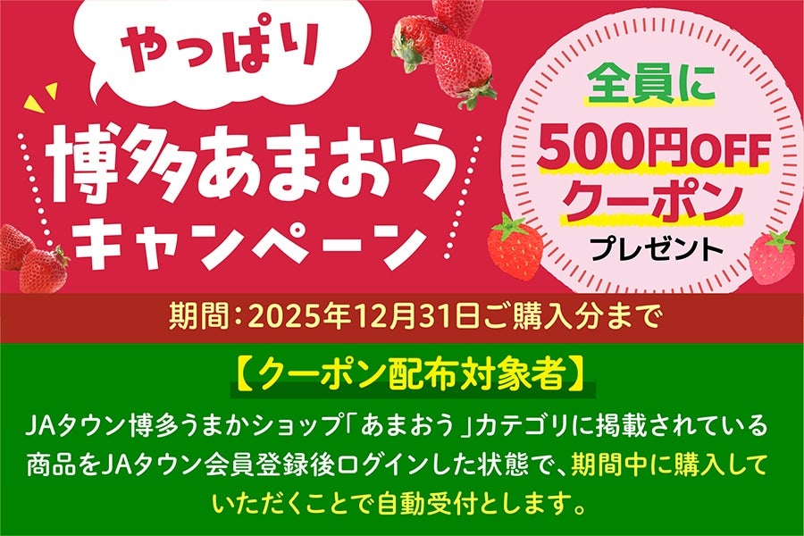 ◎JA筑前あさくら『博多あまおう』G 約250g×2P ※12月上旬〜下旬順次発送予定