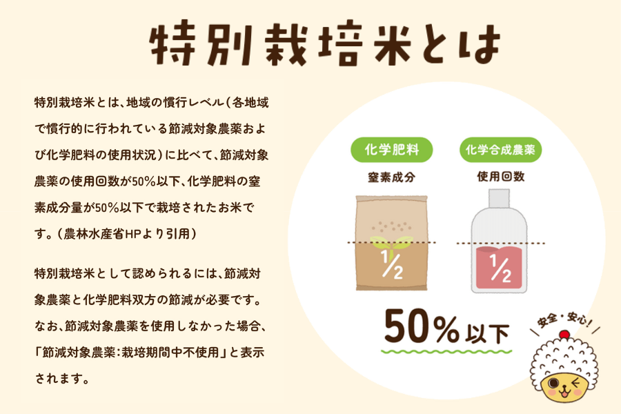 れんげ米」白米10㎏【特別栽培米・ひのひかり】 JA福岡くるめ（令和7