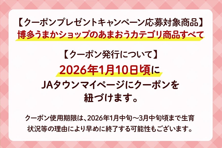 ◎JA筑前あさくら『博多あまおう』G 約250g×2P ※12月上旬〜下旬順次発送予定