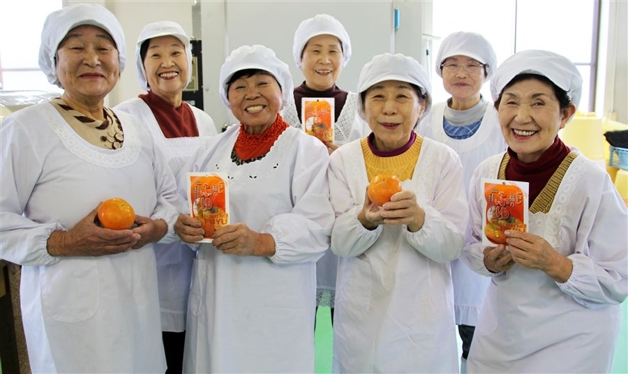 〇 柿チップ 「うきっ娘」 100g×5袋