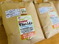 �i�`��������߁y�_�ƎY���z�u�Y�_�Y�v�@�q�m�q�J�� ���ā@��10kg�@���ʍ͔|��