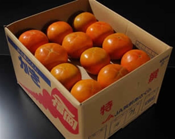 ◎JA筑前あさくら　冷蔵 『富有柿』約10�s（36〜42玉）