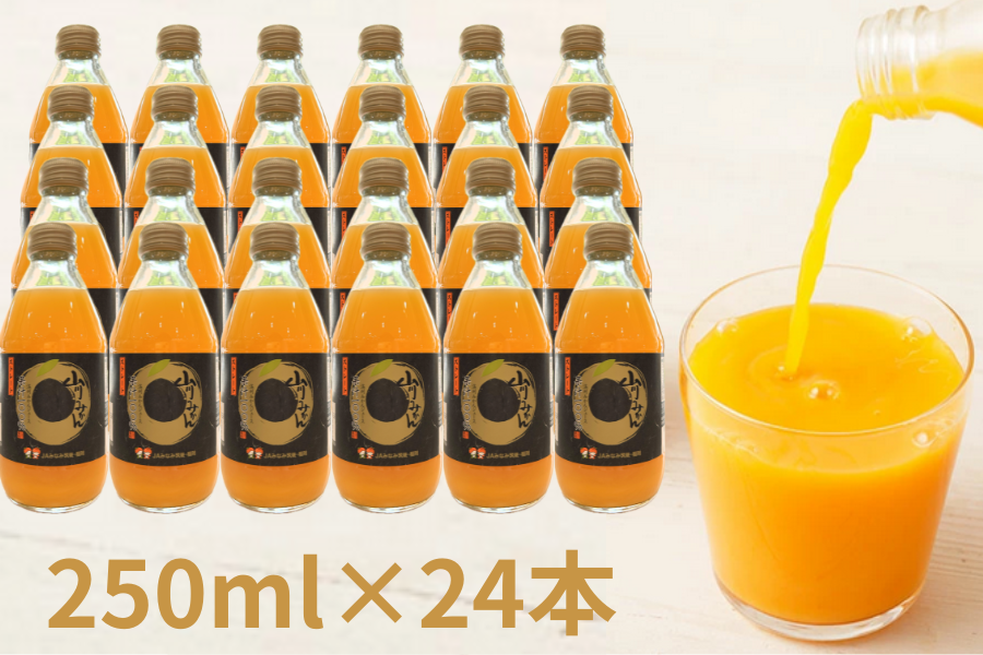 4月2日より引換開始【2箱セット】JAみなみ筑後 山川みかん100%ストレートジュース(250ml×12本×2箱)