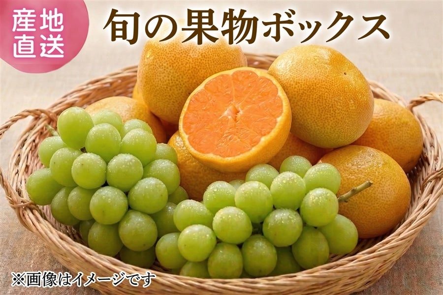 【限定】シャインマスカット・ハウスみかん詰め合わせセット ※送料マスタ未設定 4月2日販売開始予定 ※7月中旬頃〜8月上旬出荷予定