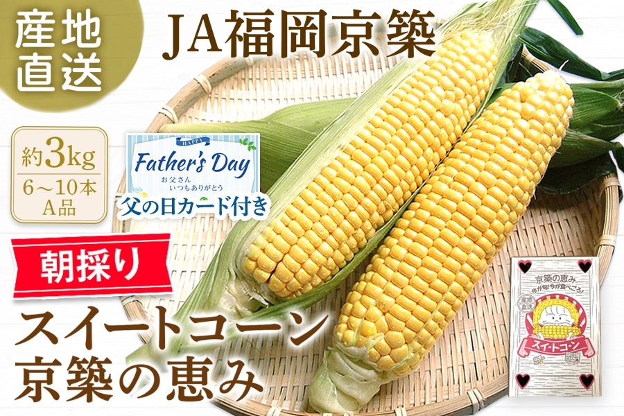 父の日】◎朝採り！当日発送！JA福岡京築スイートコーン『京築の恵み