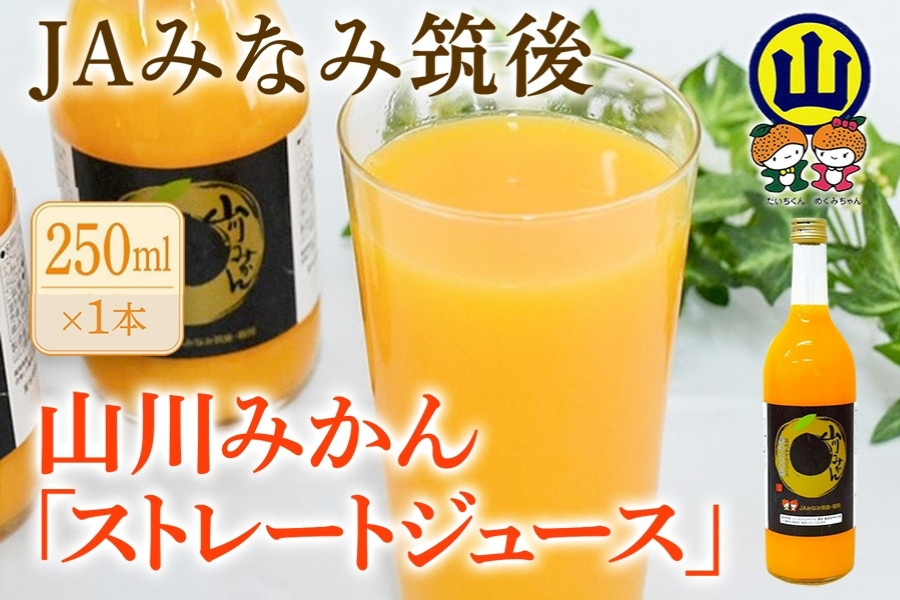 JAみなみ筑後 山川みかん100％ストレートジュース(250ml×1本): 博多