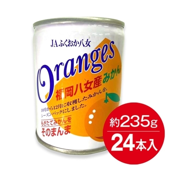 みかん缶（24缶）（シラップづけ缶詰） JAふくおか八女: 博多うまか