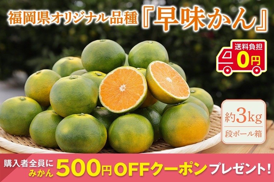 福岡県オリジナル品種】早味かん 約3㎏（段ボール箱）※9月末頃～10月