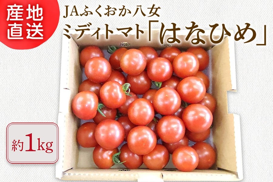 ◎JAふくおか八女 ミディトマト『はなひめ』約1s ※12月中旬頃〜出荷予定