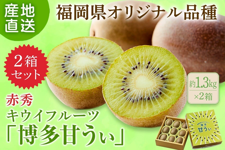 産地直送 通販 お取り寄せ【２箱セット】【国消国産】◎福岡県オリジナル品種 キウイフルーツ『博多甘うぃ』約1.3㎏（９玉、化粧箱）※11/2～出荷予定:  博多うまかショップ|ＪＡタウン