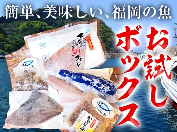 産地直送 通販 お取り寄せ福岡の魚 お試しボックス 博多うまかショップ jaタウン 産地直送 通販 お取り寄せ福岡の魚 お試しボックス 博多うまかショップ jaタウン
