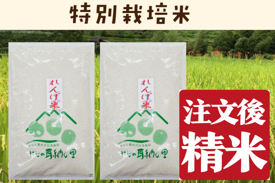 令和7年奈良県産ひのひかり10kg れんげ特別栽培米減農薬米　有機肥料おまけ付き れんげ農法プレミアム米 ヒノヒカリ 10kg｜令和7年産 新米｜福岡県産 米・雑穀・粉類