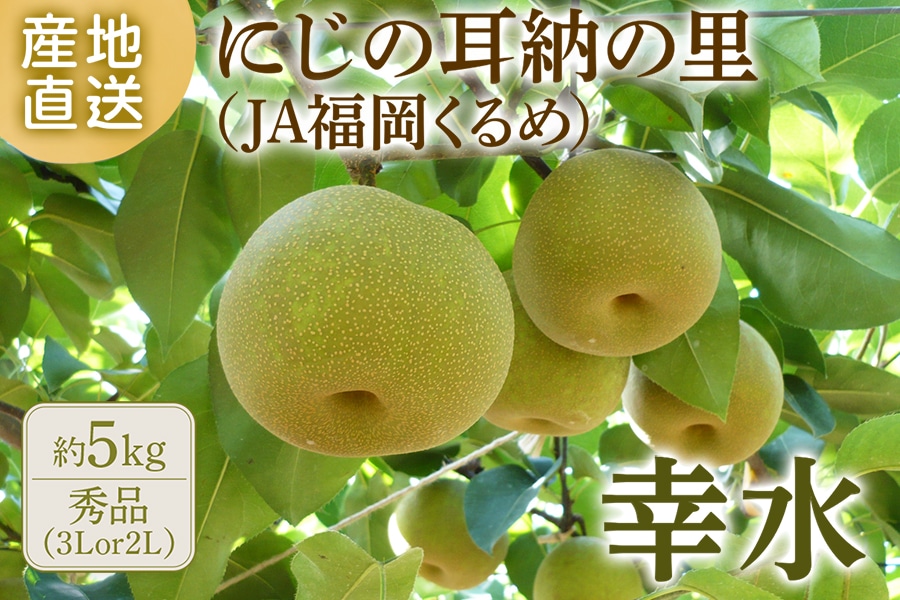 梨『幸水』約5㎏（3Lor2L) ◎JA福岡くるめ ※7月下旬～8月上旬