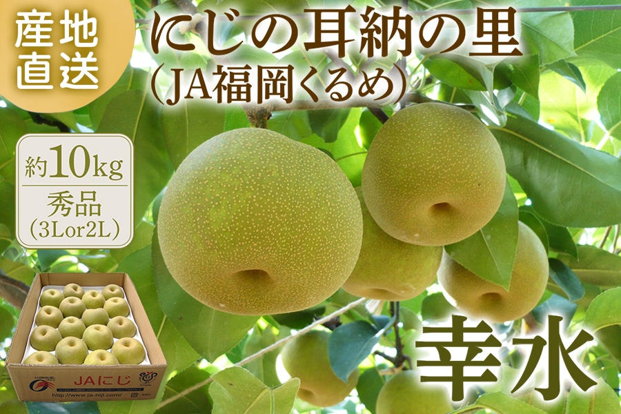 梨『幸水』約10㎏（3Lor2L) ◎JA福岡くるめ ※7月下旬～8月上旬