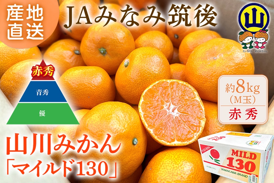 赤秀M玉 約8㎏】山川みかん『マイルド130』※11月上旬以降～12月上旬