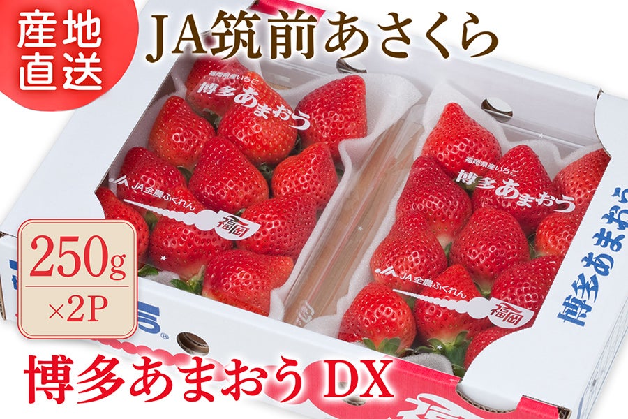 【ご家庭向け】◎JA筑前あさくら『博多あまおう』DX 約250g×2P
