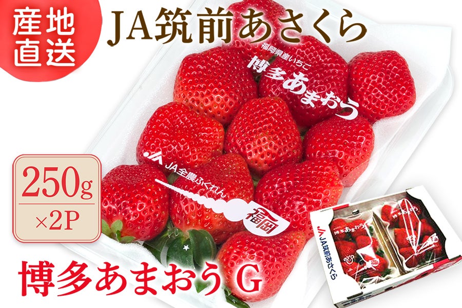 【ご家庭向け】◎JA筑前あさくら『博多あまおう』G 約250g×2P