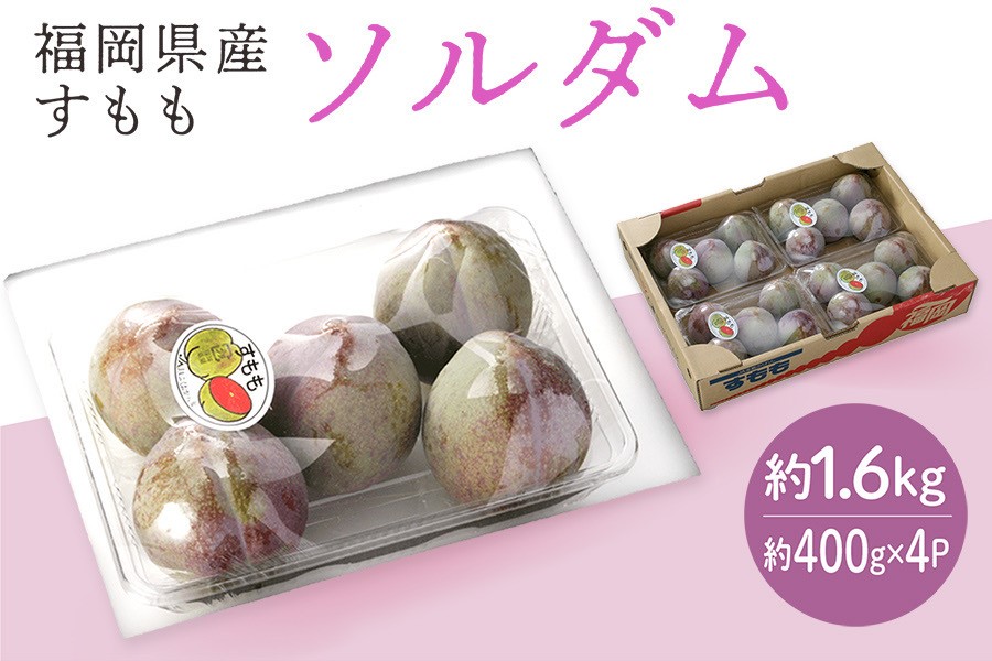 すもも『ソルダム』約1.6㎏ ◎JAみなみ筑後: 博多うまかショップ