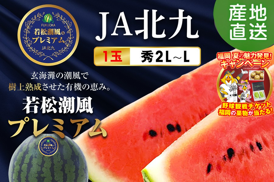 若松潮風プレミアム☆秀2L～L（約7㎏～6㎏）1玉☆(大玉すいか) ◎JA北