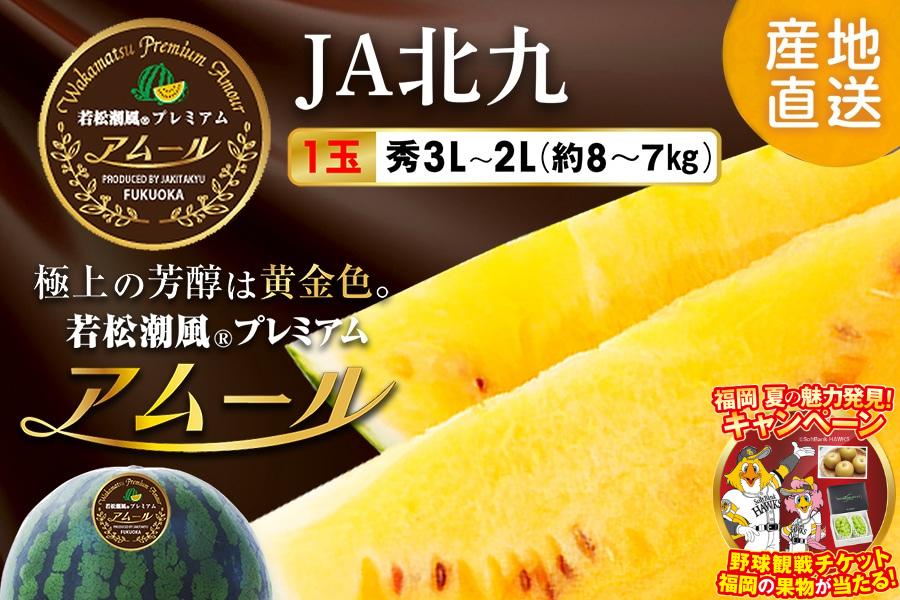 今シーズン完売しました】若松潮風プレミアム アムール☆秀3L～2L(約8