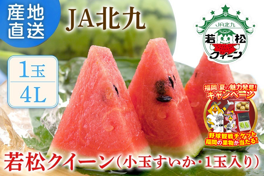 若松クイーン（小玉すいか 約3㎏) ◎JA北九 ※7月下旬～8月上旬頃出荷