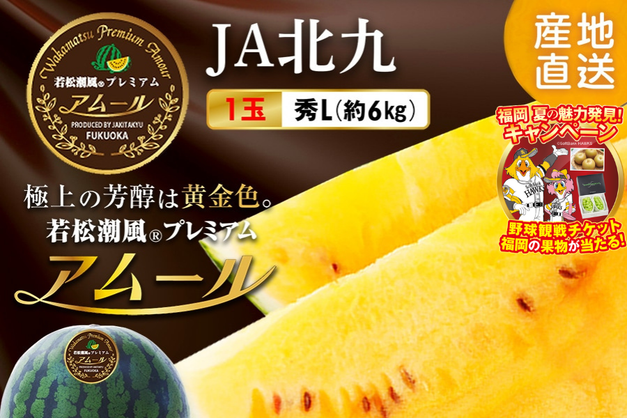 スイカ 若松潮風プレミアム アムール☆秀L 1玉（約6㎏)☆(大玉黄色すいか