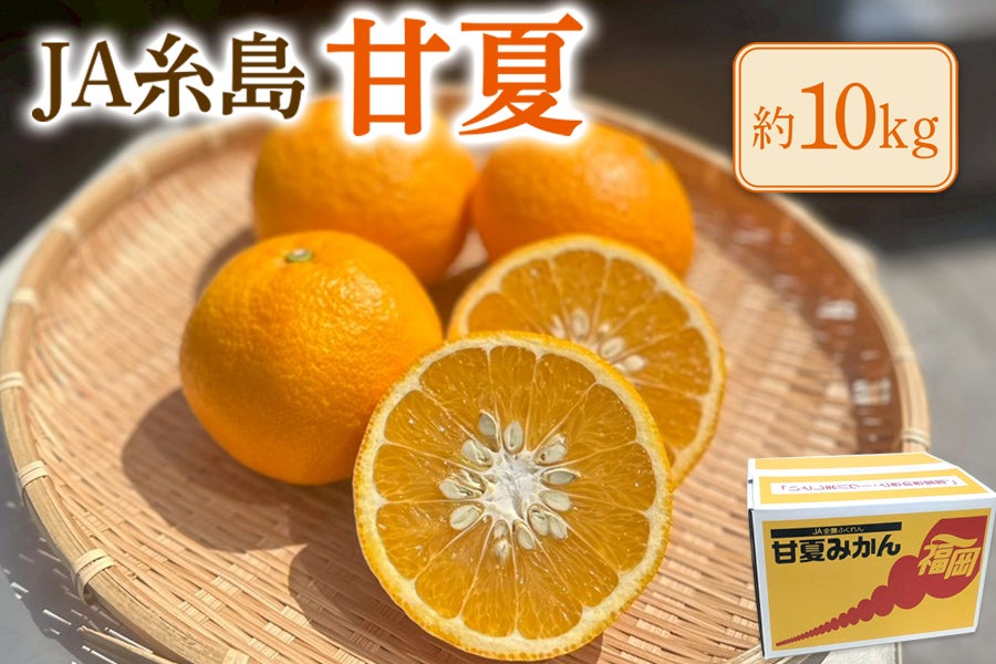【お試し特別価格】◎JA糸島 甘夏 約10s ※4月下旬〜順次出荷予定