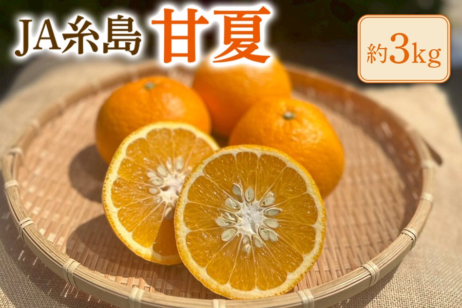 【お試し】◎JA糸島 甘夏 約3s ※4月下旬〜順次出荷予定