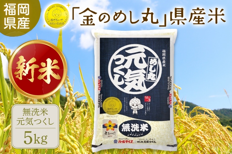 無洗米】「金のめし丸」県産米 めし丸 元気つくし 5kg（令和7年産