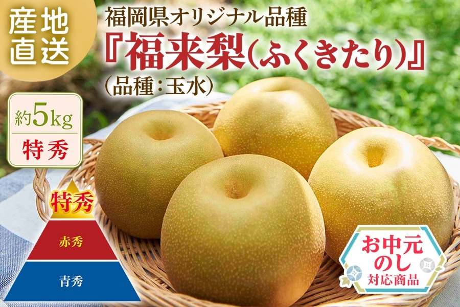 2026年6月頃販売開始予定】【お中元】【特秀】◎福岡県オリジナル品種