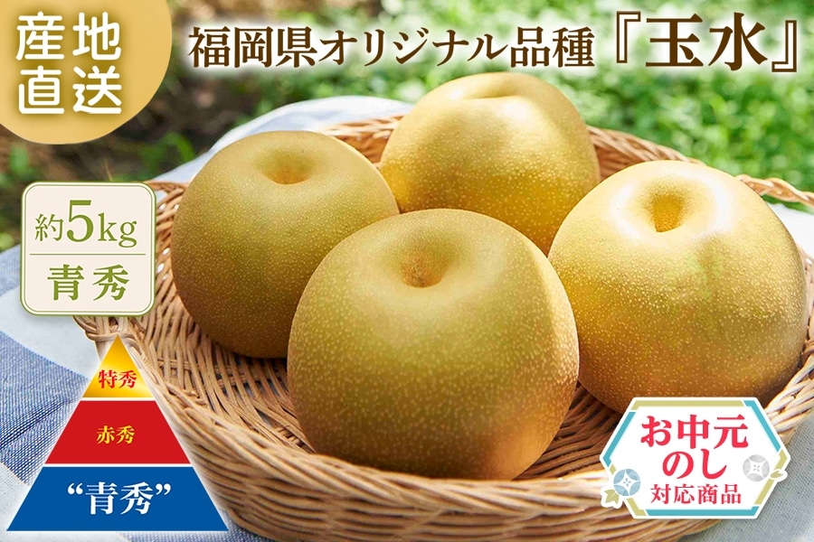 お中元】【青秀】◎福岡県オリジナル品種『玉水』梨 約5kg段ボール箱 お中元】【青秀】◎福岡県オリジナル品種『玉水』梨 約5kg段ボール箱