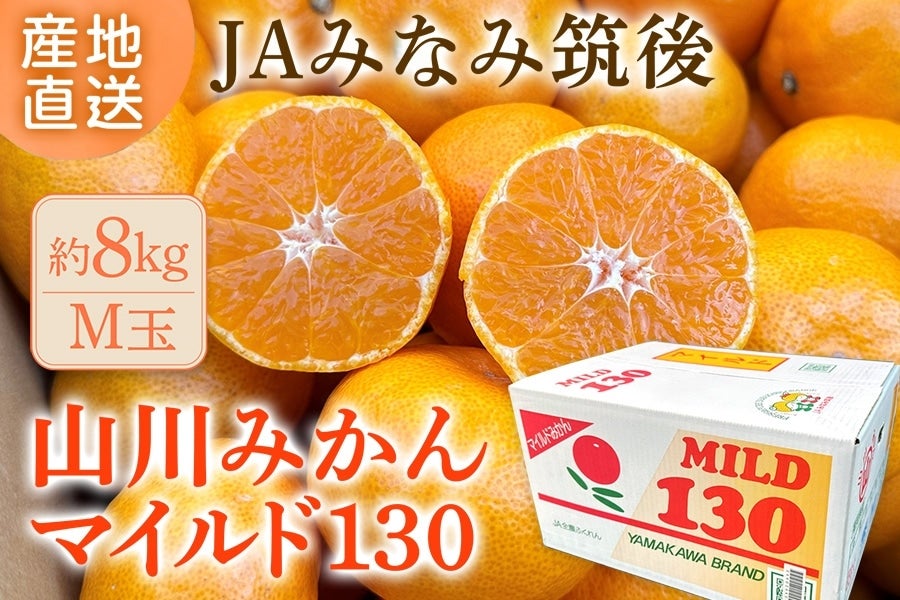 みかん お歳暮】◎JAみなみ筑後《山川みかん》マイルド130 M 約8