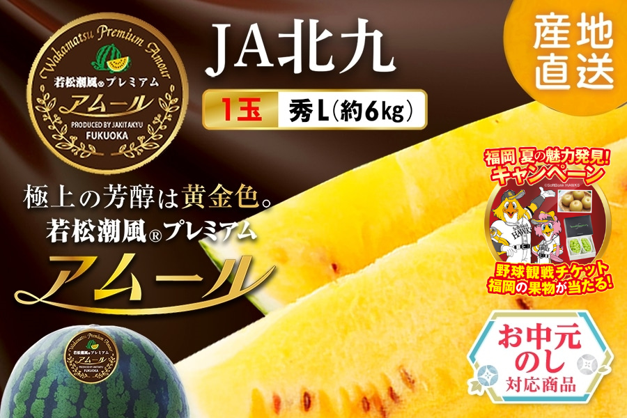 今シーズン完売しました】若松【お中元】若松潮風プレミアム アムール