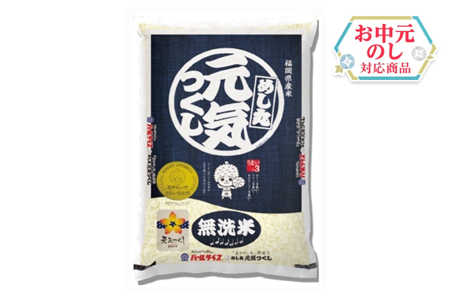 お中元】【無洗米】新米「金のめし丸」県産米 めし丸 元気つくし 5kg