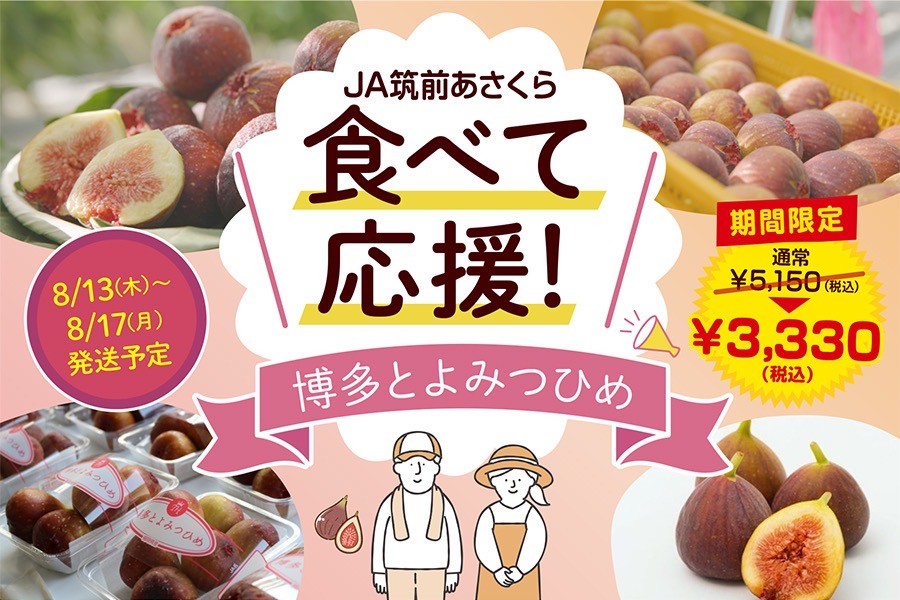 ☆【食べて応援！特別価格！8/13~8/17発送予定】いちじく『博多とよ
