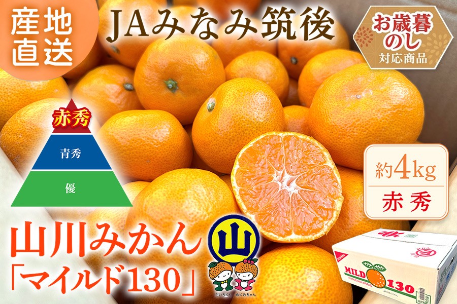 お歳暮】《赤秀M玉 約4㎏》山川みかん『マイルド130』※12月上旬～中旬