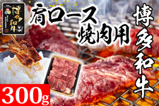 yYza[Xēpi300gj