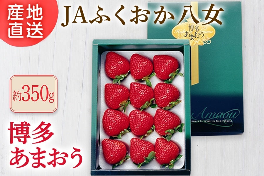 y10̔JnzJAӂ@w܂x 350g