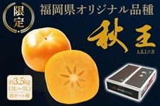 ���������I���W�i���i��w�H���x�`�@��3.5�s���i��ʂRL�`�TL�j�@��11����{�`���{�o�ח\��