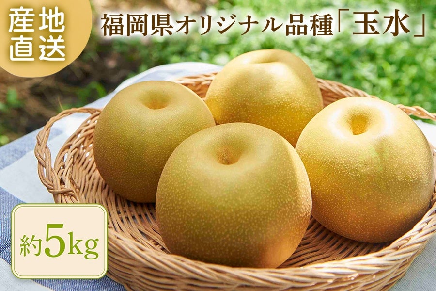 �y�V�i��z���������I���W�i���i��w�ʐ��x���@��Tkg�i�{�[�����@��7�������`8����{�̊Ԃɔ����\��