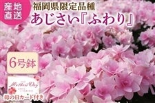  �S��2�����̔��J�n�I���y��̓��z�����150�Z�b�g�� ���������������琬�V�i��w�ӂ��x���A���@��5��7����Ĕ����\��